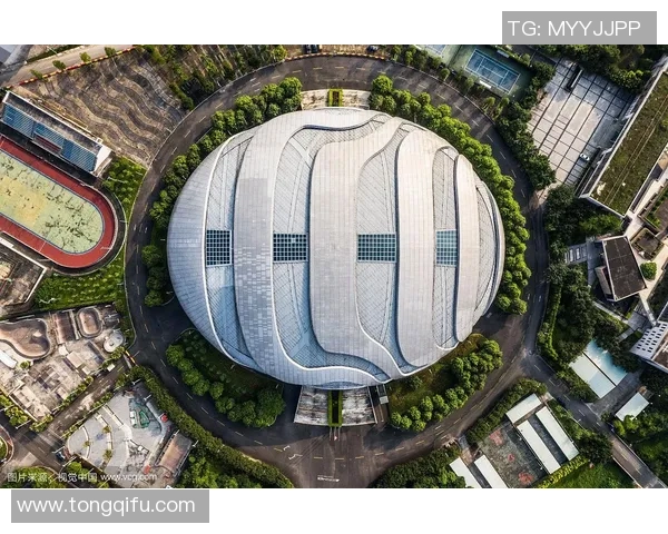 广州极限运动队的突破之路与嘉年华盛况全景回顾