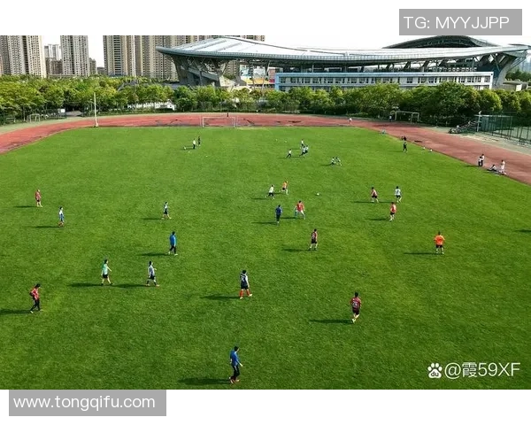 足球刺破梦想的边界在绿茵场上书写传奇与荣耀的篇章