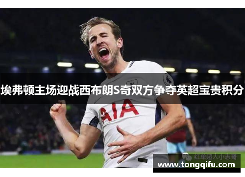 埃弗顿主场迎战西布朗S奇双方争夺英超宝贵积分