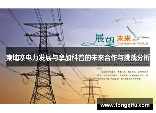 柬埔寨电力发展与拿加科普的未来合作与挑战分析