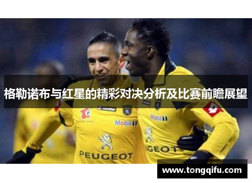 格勒诺布与红星的精彩对决分析及比赛前瞻展望