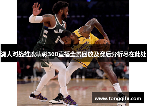 湖人对战雄鹿精彩360直播全景回放及赛后分析尽在此处